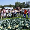 11.08.2012 i1q.JPG